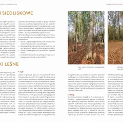 Grądy i grabiny to lasy, gdzie rosna trufle. W grądach znajdziemy najwięcej gatunków, zwłaszcza czarnych.