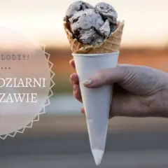 Ręka trzymająca rożek z lodami czekoladowymi. Tekst: "Gdzie na lody?! Czyli... TOP 15 lodziarni w Warszawie". Szukasz najlepszych lodów w Warszawie?