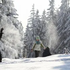 Dzieci bawią się śniegiem w lesie podczas ferii zimowych 2026 lubelskie. Radosne chwile w otoczeniu zasypanych drzew.