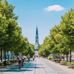 Aleja z drzewami prowadząca do Jasnej Góry, gdzie rowerzyści i spacerowicze korzystają z uroków Częstochowy. Atrakcje miasta zachęcają do aktywnego wypoczynku.