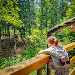 Ojcowie z dziećmi obserwują żubry w lesie. To jedne z wielu podkarpackich atrakcji.