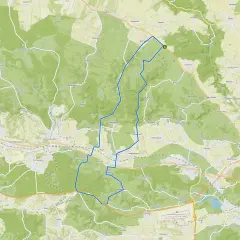 Trasa rowerowa przez Ojcowski Park Narodowy, malownicze krajobrazy i urokliwe wsie.