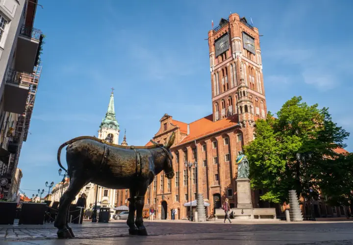 Pomnik osiołka i Ratusz Staromiejski – jedne z głównych atrakcji Torunia. W tle widać wieżę kościoła.
