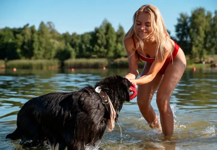 Radosne mazury z psem. Dziewczyna w czerwonym stroju kąpielowym bawi się z czarnym psem w jeziorze.