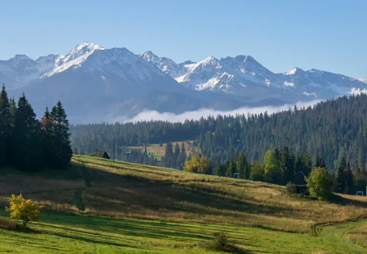 Gubałówka atrakcje: malowniczy widok na Tatry, zielone wzgórza, lasy i kilka drewnianych budynków.