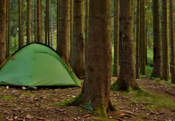 Zielony namiot i rowery czekają na przygodę. Idealne miejsce na camping w górach, wśród szumiących drzew.