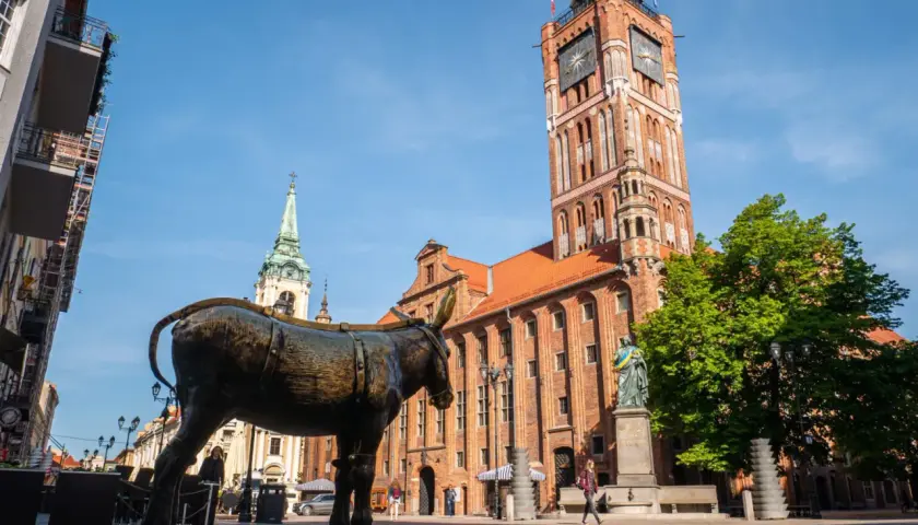 Pomnik osiołka i Ratusz Staromiejski – jedne z głównych atrakcji Torunia. W tle widać wieżę kościoła.