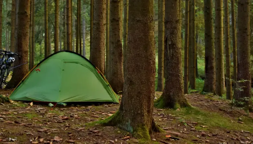 Zielony namiot i rowery czekają na przygodę. Idealne miejsce na camping w górach, wśród szumiących drzew.