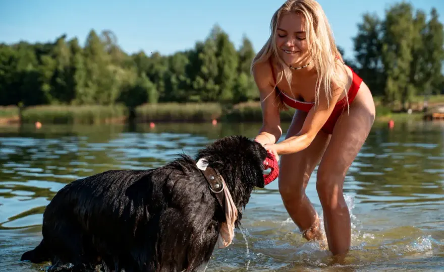 Mazury z psem - Jak uniknąć błędów i naprawdę odpocząć?