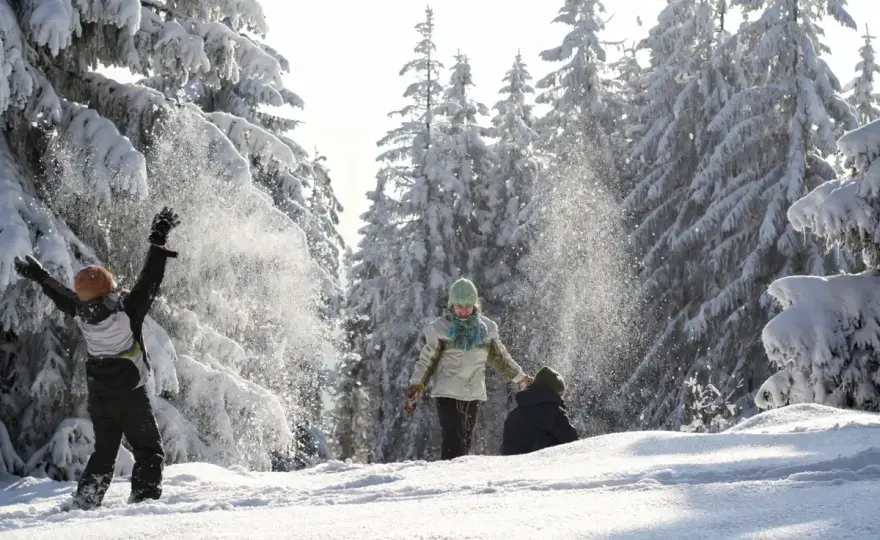 Ferie w lubelskim - jak zaplanować udany zimowy wyjazd?