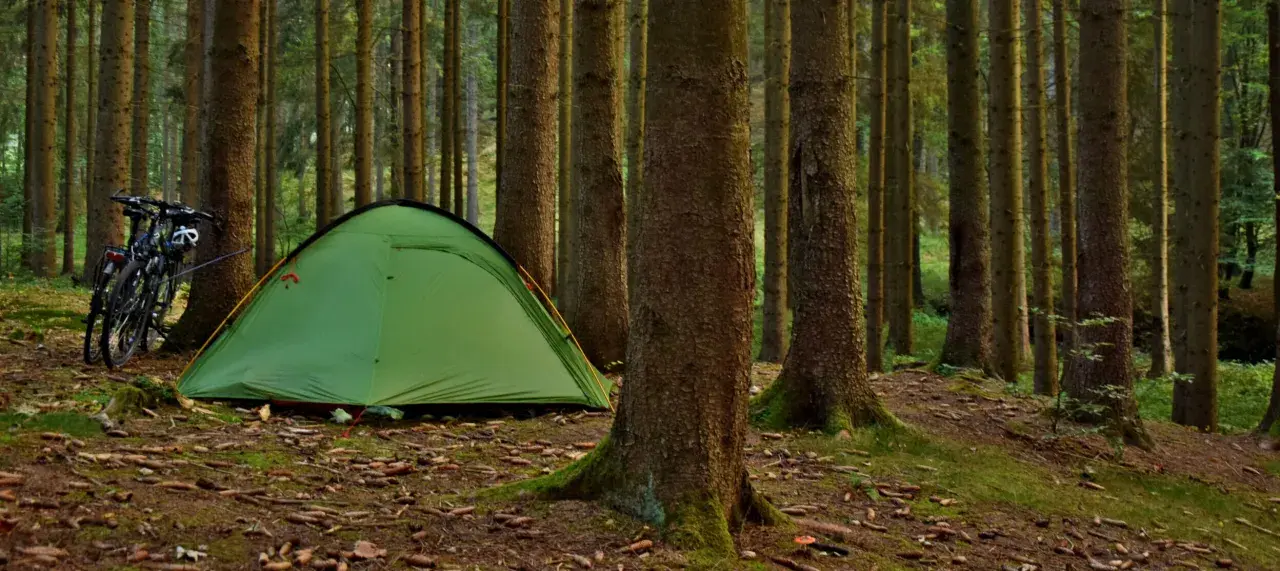 Zielony namiot i rowery czekają na przygodę. Idealne miejsce na camping w górach, wśród szumiących drzew.