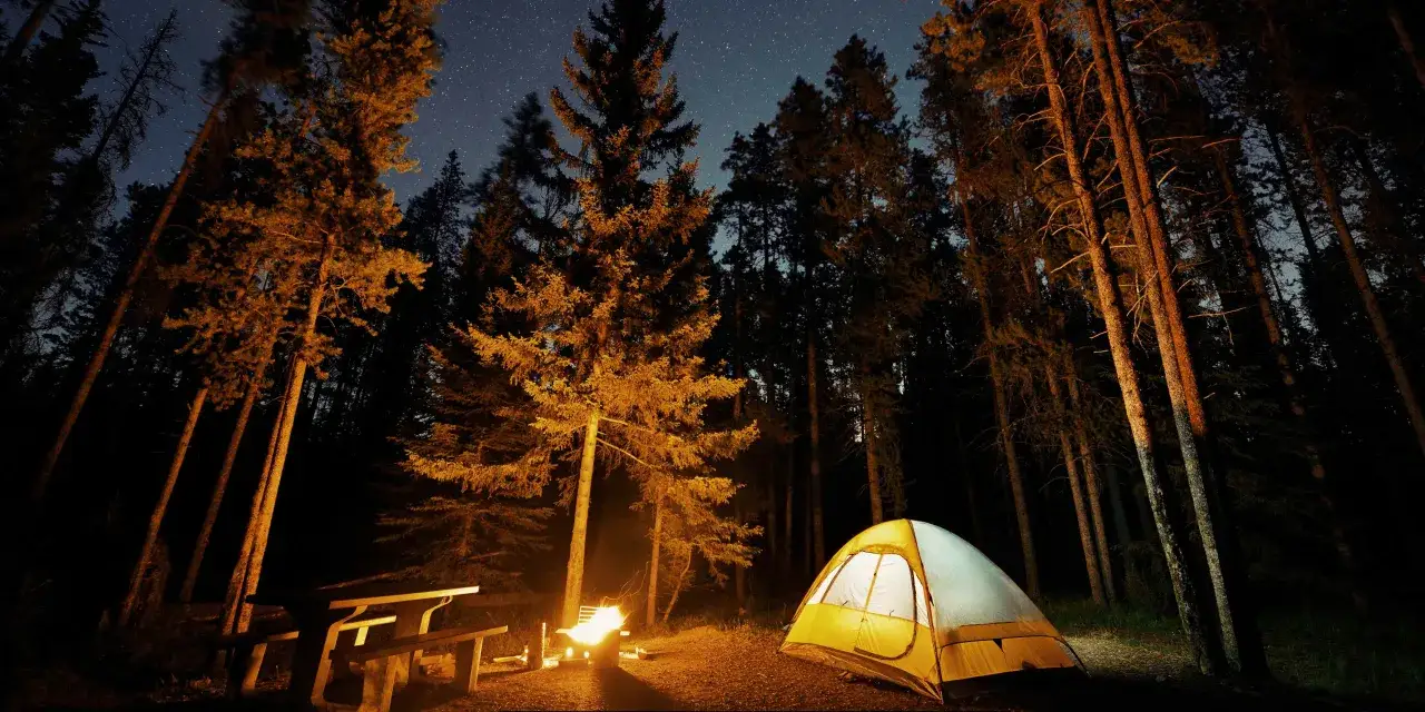 Nocne pola namiotowe w górach. Rozświetlony namiot i ognisko w lesie pod rozgwieżdżonym niebem.