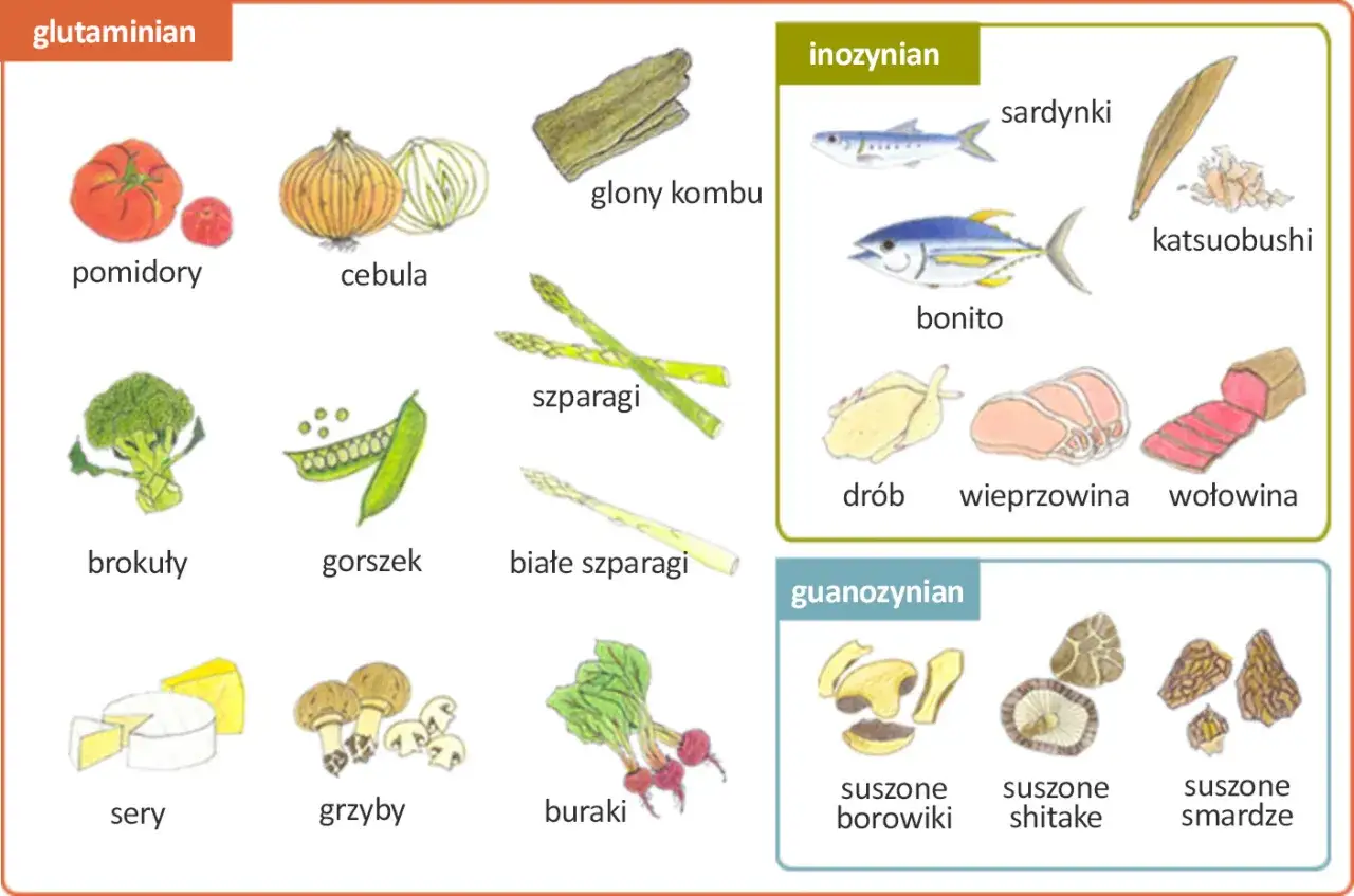 Produkty bogate w glutaminian, inozynian i guanozynian, kt&oacute;re nadają potrawom głębię smaku umami: pomidory, cebula, grzyby, mięso, ryby.