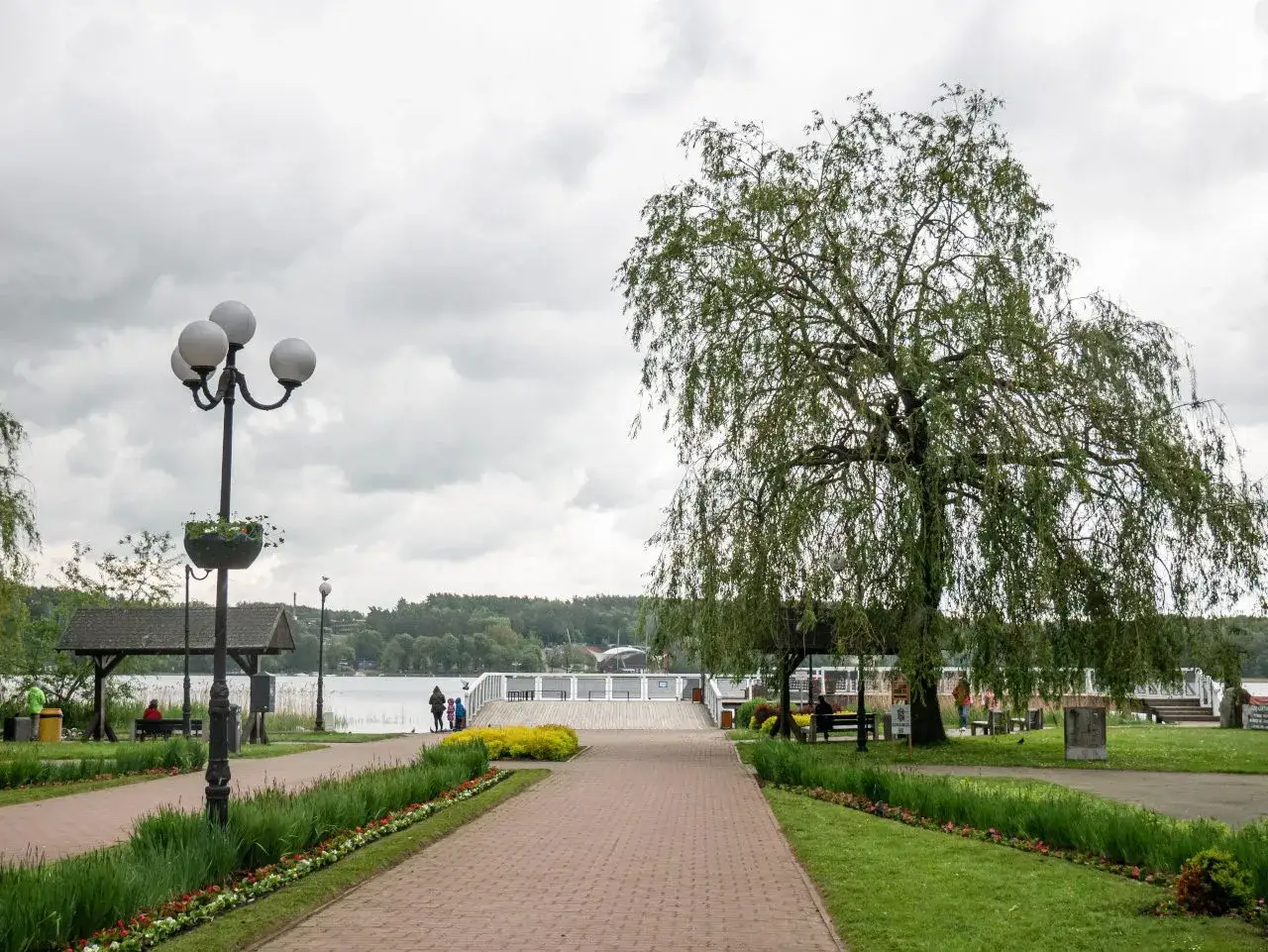 Spacer w Mrągowie nad jeziorem, z wierzbą płaczącą i kwitnącymi rabatami. To jedne z wielu mrągowo atrakcje.