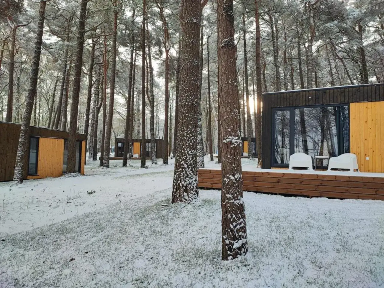Nowoczesne domki nad morzem całoroczne w zimowej scenerii, otoczone ośnieżonym lasem sosnowym.