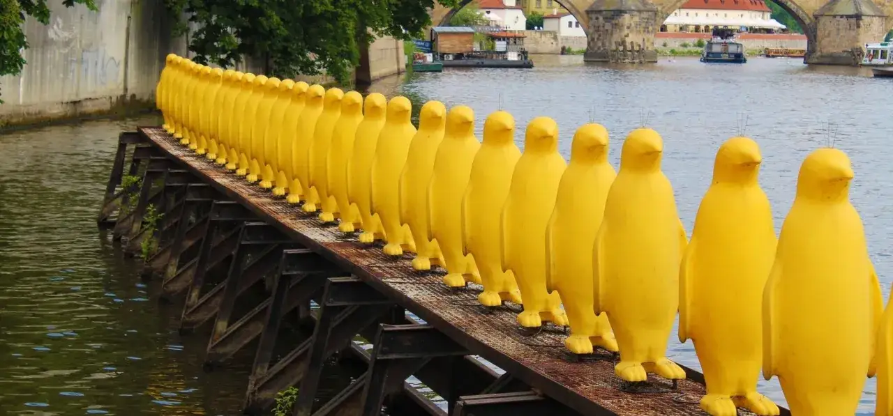 Praga nietypowe atrakcje: rząd żółtych pingwinów na moście nad Wełtawą.